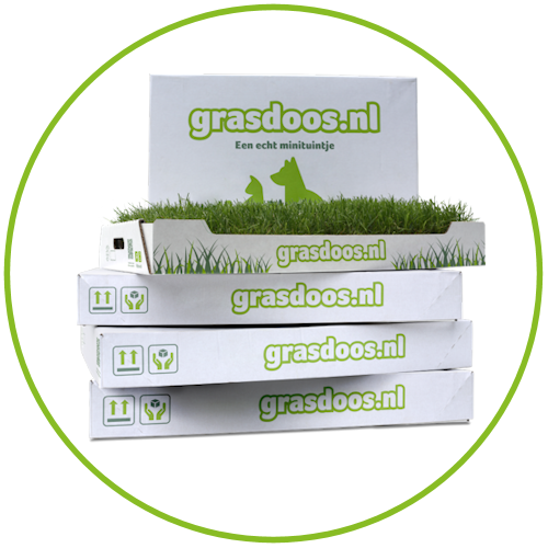 grasdoos.nl gras voor huisdieren kopen